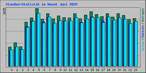 Stunden-Statistik im Monat Juni 2025