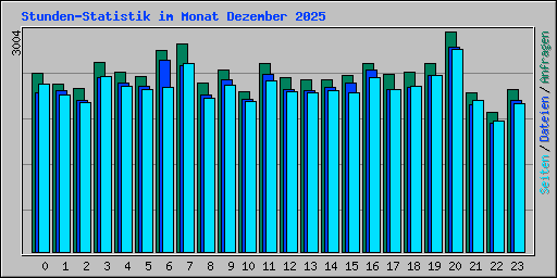 Stunden-Statistik im Monat Dezember 2025