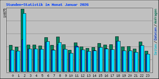 Stunden-Statistik im Monat Januar 2026