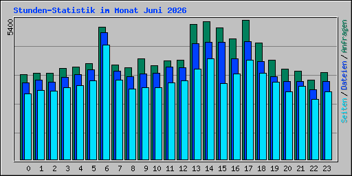 Stunden-Statistik im Monat Juni 2026