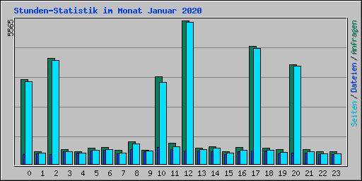 Stunden-Statistik im Monat Januar 2020
