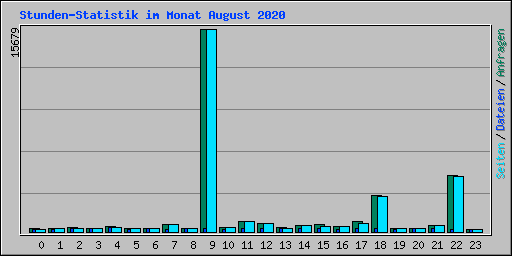 Stunden-Statistik im Monat August 2020