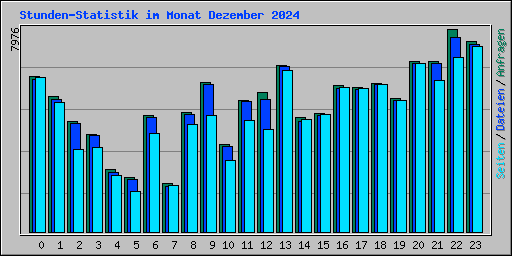 Stunden-Statistik im Monat Dezember 2024