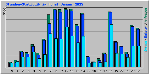 Stunden-Statistik im Monat Januar 2025