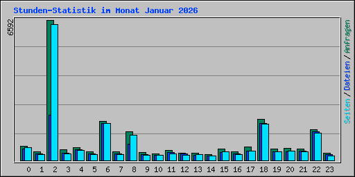 Stunden-Statistik im Monat Januar 2026