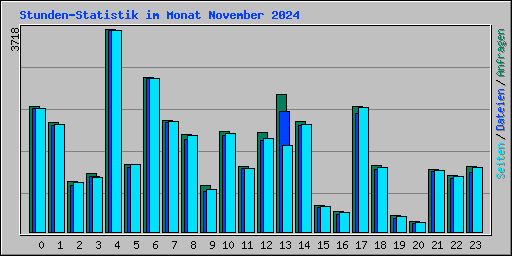 Stunden-Statistik im Monat November 2024