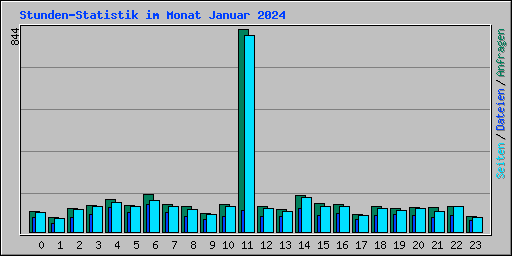Stunden-Statistik im Monat Januar 2024
