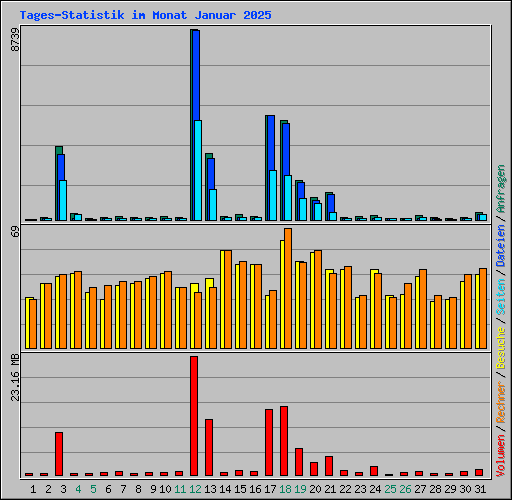 Tages-Statistik im Monat Januar 2025