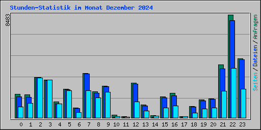 Stunden-Statistik im Monat Dezember 2024