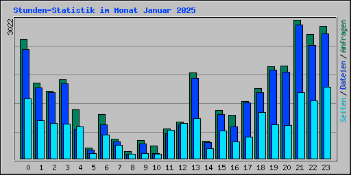 Stunden-Statistik im Monat Januar 2025