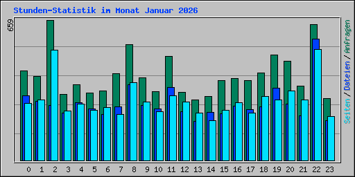 Stunden-Statistik im Monat Januar 2026